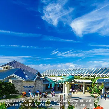 the entrance of churaumi aquarium